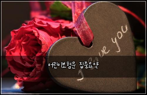 어린이보험문 집중요약