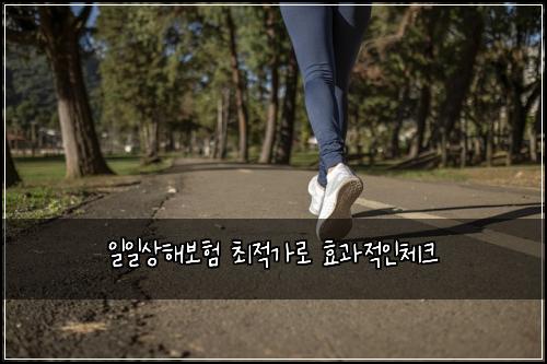 일일상해보험 최적가로  효과적인체크