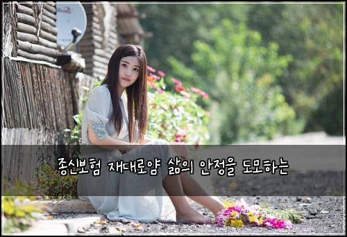 종신보험 재대로얌  삶의 안정을 도모하는