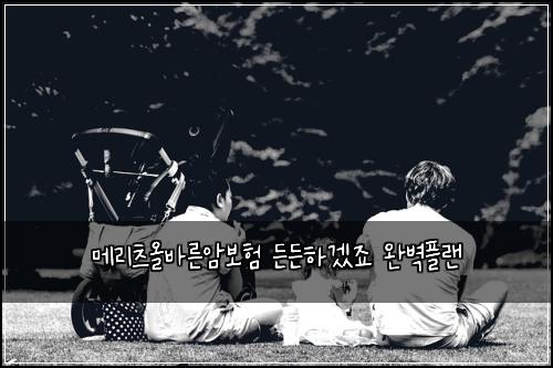 λ©λ¦¬μΈ μ¬λ°λ₯Έμ보ν λ λ νκ² μ£ μλ²½νλ