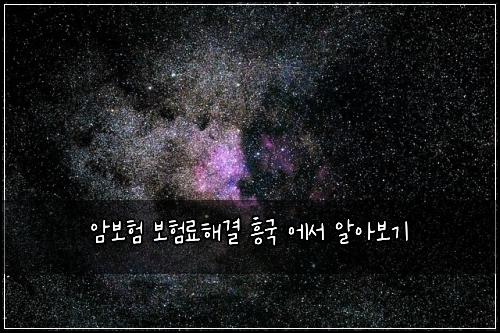 암보험 보험료해결  흥국 에서 알아보기