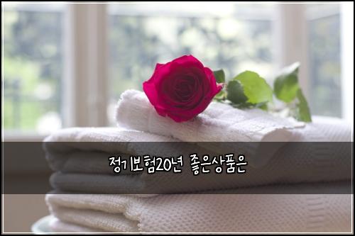 정기보험20년 좋은상품은