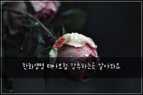 한화생명 태아보험 강추하는곳  알아봐요