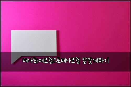 ํ์ํ์ฌ๋ณดํ์ผ๋กํ์๋ณดํ ์๋ง๊ฒํ๊ธฐ