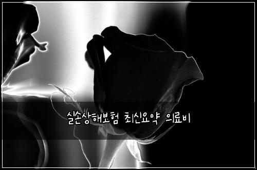 실손상해보험 최신요약  의료비