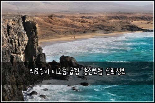 의료실비 비교좀 급함 종신보험 신뢰정보 