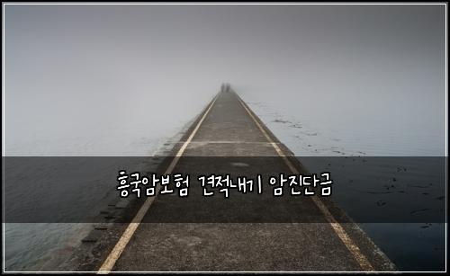 ํฅ๊ตญ์๋ณดํ ๊ฒฌ์ ๋ด๊ธฐ ์์ง๋จ๊ธ
