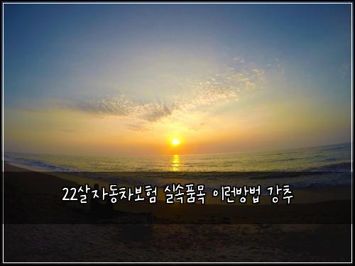 22์ด์๋์ฐจ๋ณดํ ์ค์ํ๋ชฉ ์ด๋ฐ๋ฐฉ๋ฒ ๊ฐ์ถ