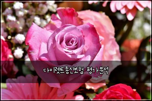 ๋ค์ด๋ ํธ์ข
์ ๋ณดํ ํ๊ฐ๋ถ์
