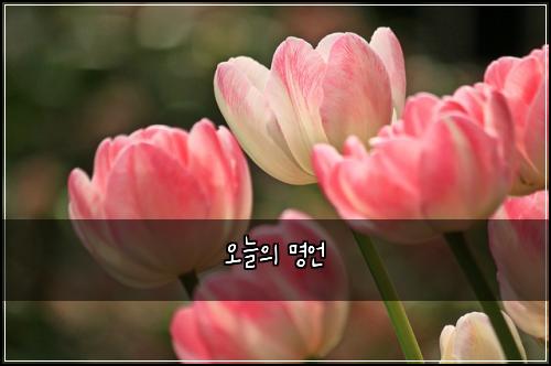 오늘의 명언