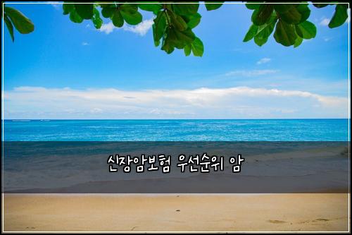 ์ ์ฅ์๋ณดํ ์ฐ์ ์์ ์