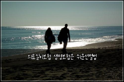 ์๋ฃ์ค๋น๋ณดํ ์๋ช
๋ณดํ์ ์ฌ์ด์ ๋ณ๋ฒ