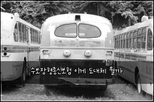 수보장형종신보험 이게 도대체 뭘까
