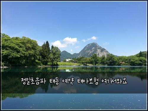 정밀초음파 태동 예약 태아보험 여기서봐요 