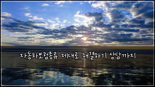 ์๋์ฐจ๋ณดํ์ข
๋ฅ ์ ๋๋ก ํด๊ฒฐํ๊ธฐ ์๋ด๊น์ง