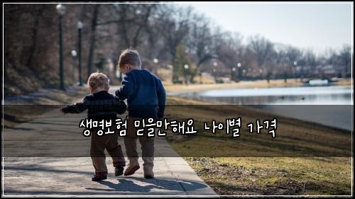 생명보험 믿을만해요  나이별 가격