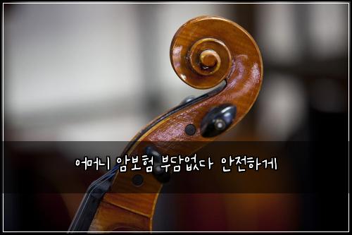 어머니 암보험 부담없다  안전하게