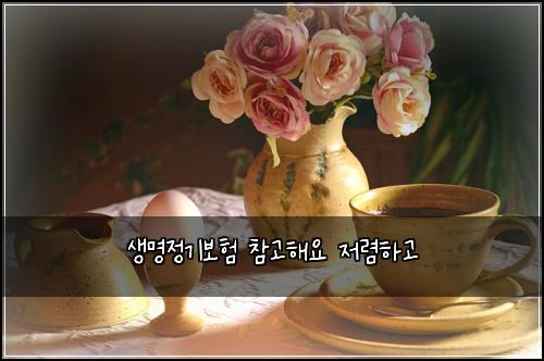 ์๋ช
์ ๊ธฐ๋ณดํ ์ฐธ๊ณ ํด์ ์ ๋ ดํ๊ณ