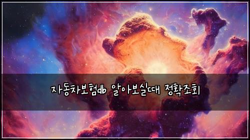 ์๋์ฐจ๋ณดํdb ์์๋ณด์ค๋ ์ ํ์กฐํ
