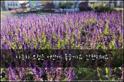 자동차 보험은 어떤게 좋을까요 간편히해요