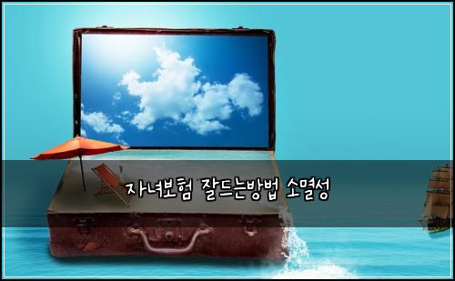 자녀보험 잘드는방법  소멸성
