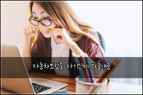 자동차보험중 자기신체 봐둘내용