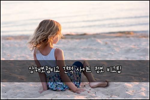 상해보험비교 견적 사이트 정보 비교팁