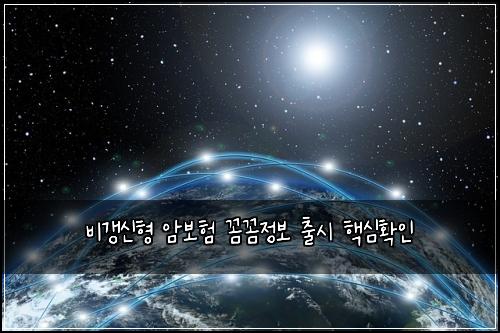 비갱신형 암보험 꼼꼼정보  출시 핵심확인