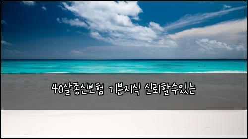 40살종신보험 기본지식  신뢰할수있는