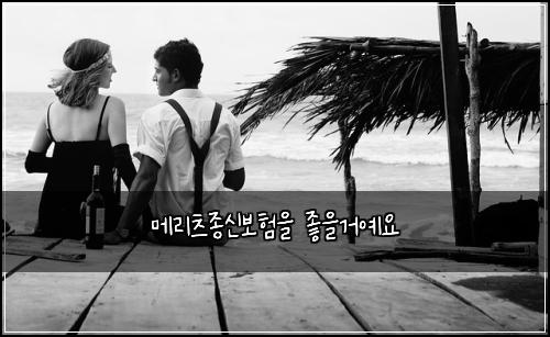๋ฉ๋ฆฌ์ธ ์ข
์ ๋ณดํ์ ์ข์๊ฑฐ์์
