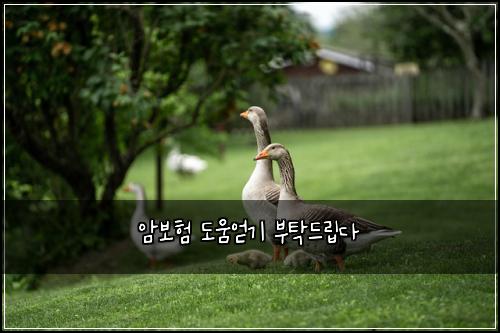์๋ณดํ ๋์์ป๊ธฐ ๋ถํ๋๋ฆฝ๋ค