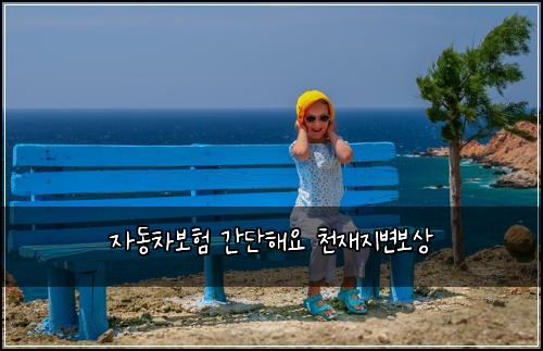์๋์ฐจ๋ณดํ ๊ฐ๋จํด์ ์ฒ์ฌ์ง๋ณ๋ณด์