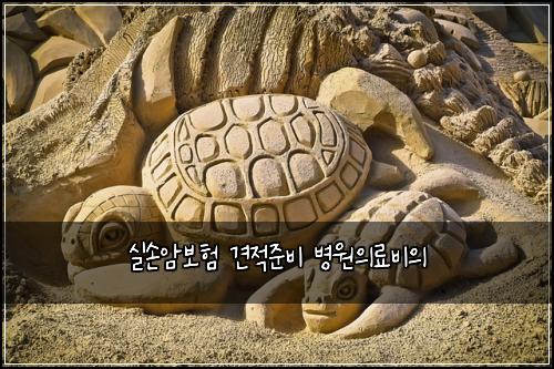 실손암보험 견적준비  병원의료비의