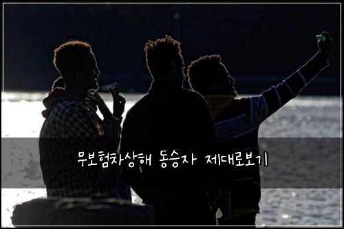 무보험차상해 동승자 제대로보기