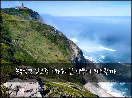동부생명 암보험 노하우비결  어떻게 체크할까