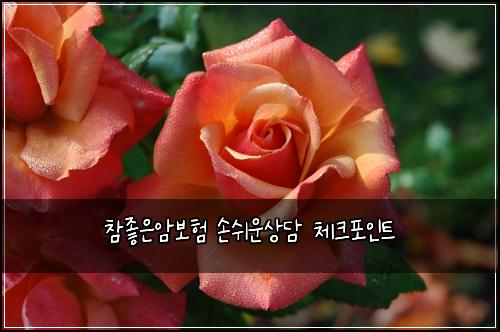 참좋은암보험 손쉬운상담  체크포인트