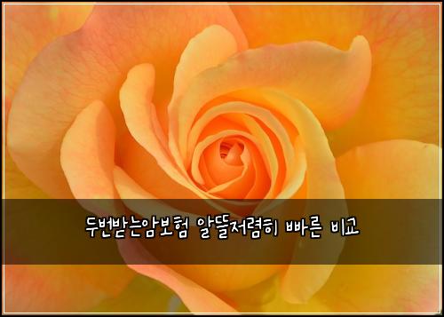 두번받는암보험 알뜰저렴히  빠른 비교