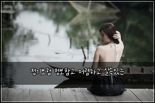 정기보험 정보참고  저렴하고 실속있는