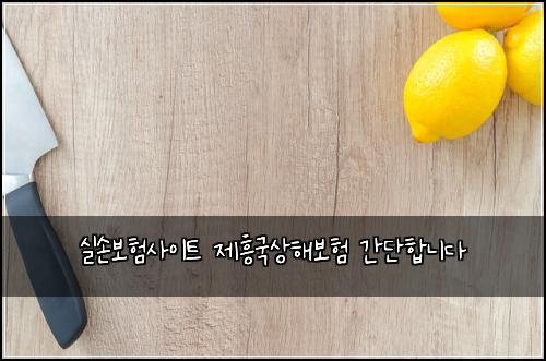 실손보험사이트 제흥국상해보험 간단합니다