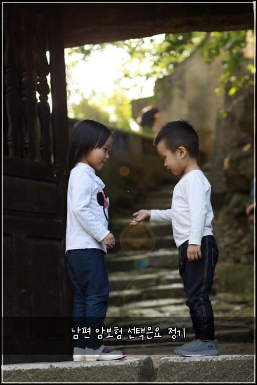 남편 암보험 선택은요  정기