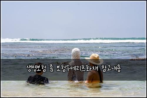 μλͺ
보ν μ’ λ³΄νλλ©λ¦¬μΈ νμ¬ μ°Έκ³ λ΄μ©