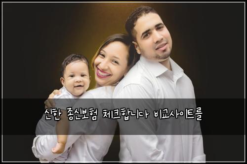 신한 종신보험 체크합니다  비교사이트를