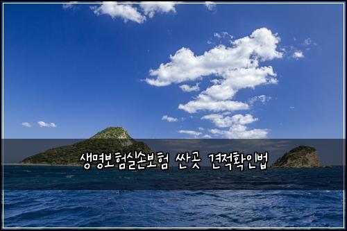 ์๋ช
๋ณดํ์ค์๋ณดํ ์ผ๊ณณ ๊ฒฌ์ ํ์ธ๋ฒ