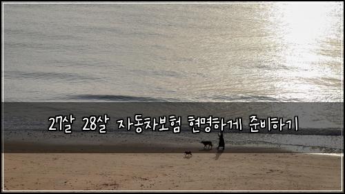 27살 28살 자동차보험 현명하게 준비하기