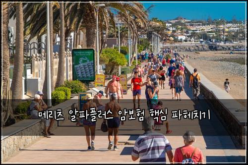 메리츠 알파플러스 암보험 핵심 파헤치기