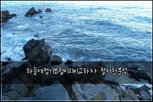 하늘애정기보험미리비교하자 철저한분석