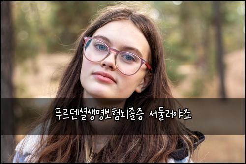 푸르덴셜생명보험뇌졸증 서둘러야죠