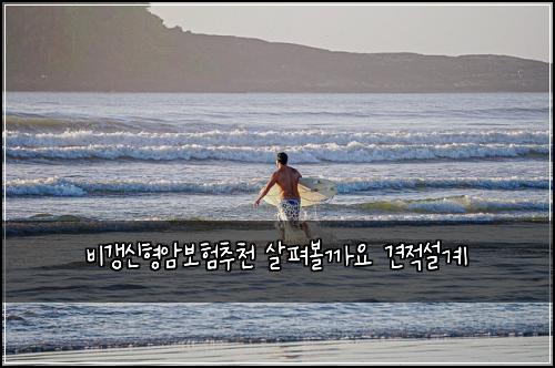 ๋น๊ฐฑ์ ํ์๋ณดํ์ถ์ฒ ์ดํด๋ณผ๊น์ ๊ฒฌ์ ์ค๊ณ