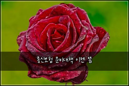 ์ข
์ ๋ณดํ ์ค๋น๋์ฑ
์ด์ ์ซ