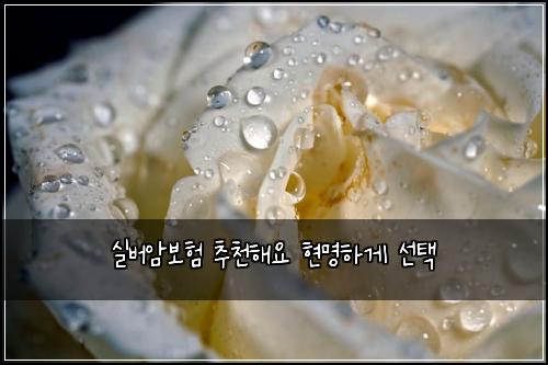 실버암보험 추천해요  현명하게 선택
